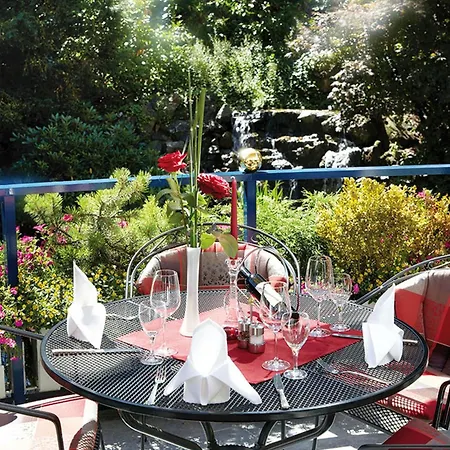 酒店 Vis A Vis Parkhotel 4*